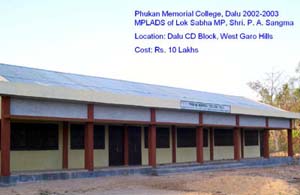 Phukan Memorial College,Dalu