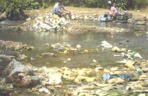 Umshyrpi stream is highly polluted