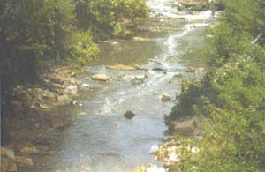 waste from residential houses and other establishments go into the Umshyrpi stream