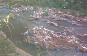 Dumping of household refuseetc., by uncaring residents along Umkhrah banks