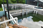 Mairang Civil Hospital Water Treatment Plant