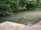 Water Source at  Lawsohtuin Jungle, Umjarsai, East Khasi Hills District - dated 23-06-2017
