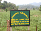 Ramie Plants Development Schemes, West Garo Hills District - dated 19-04-2017
